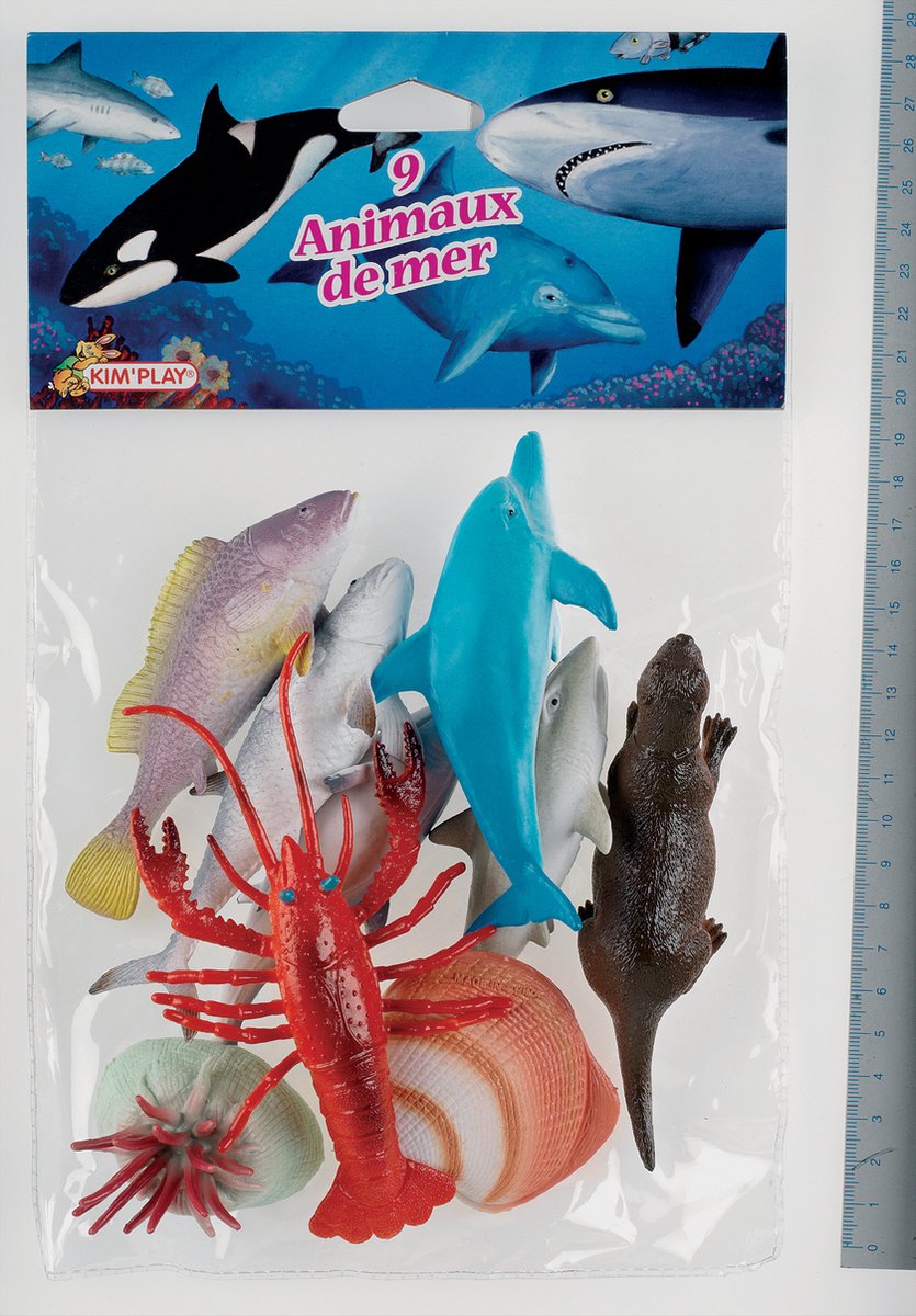 KimPlay 1508, 3 jaar, Meerkleurig, Kunststof